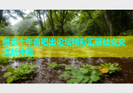 微杏十年杏吧出论坛精彩汇聚社交交流新体验
